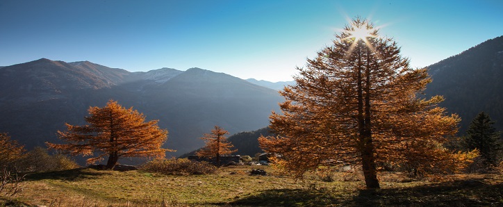 Trekking tematici nel Vallone di San Grato a Issime