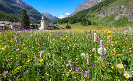 TERRITOIRE À DÉCOUVRIR