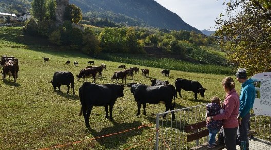 Valdostana è meglio!: un sostegno alla carne a km zero